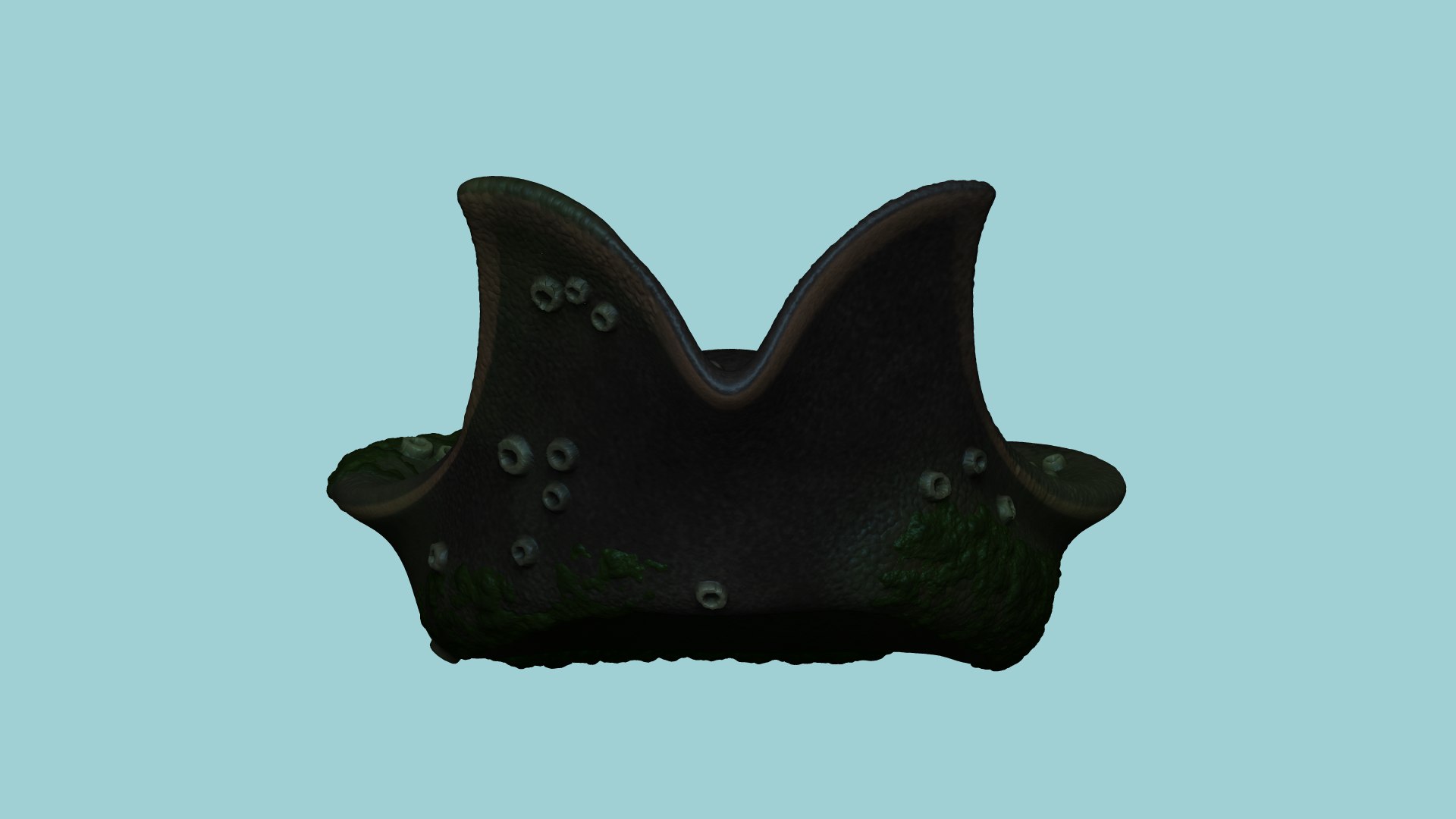 3D hat davy jones - model https://p.turbosquid.com/ts-thumb/OM/IFjS2a/VO8F2oOL/mainrendernoangle/png/1601951438/1920x1080/fit_q87/09e488869e4b87d3eb512724350374da066ebad2/mainrendernoangle.jpg