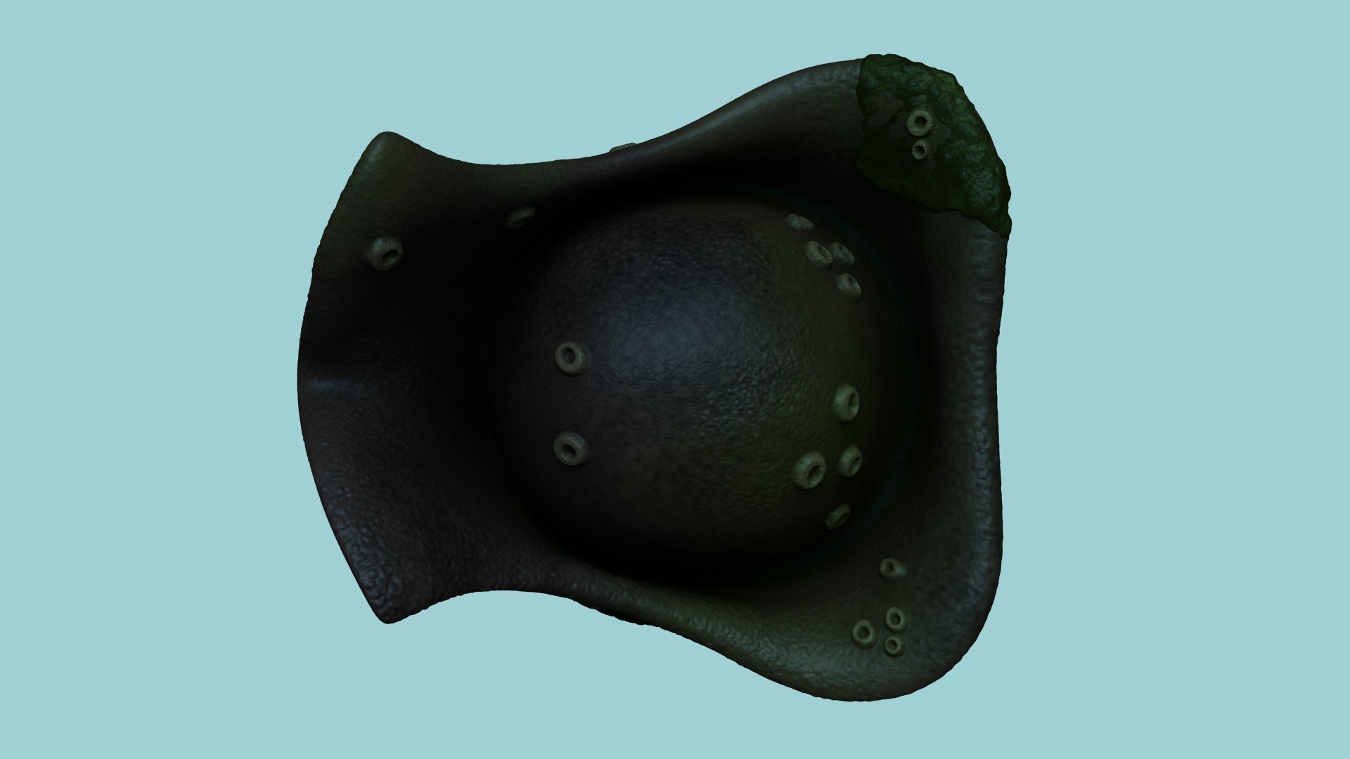 3D hat davy jones - model https://p.turbosquid.com/ts-thumb/OM/IFjS2a/uj2ldcMl/render4/png/1601951447/1920x1080/fit_q87/93175f194921b6bf7aa22d6fefdbc2d60633cf8d/render4.jpg