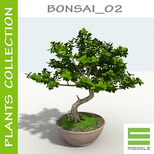 Tree - Bonsai_02