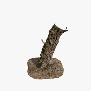 3D Anydrafts Abies Trunk 14