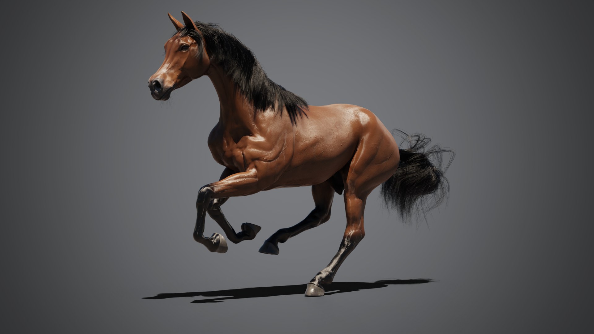 Equine pack 3D model https://p.turbosquid.com/ts-thumb/OM/bNjYLy/aH/06_compositing/png/1787722266/1920x1080/fit_q87/26fefb4126b2394b8cebfb452074c5978984c7de/06_compositing.jpg