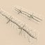 Barbwire 1