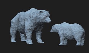 3D bear