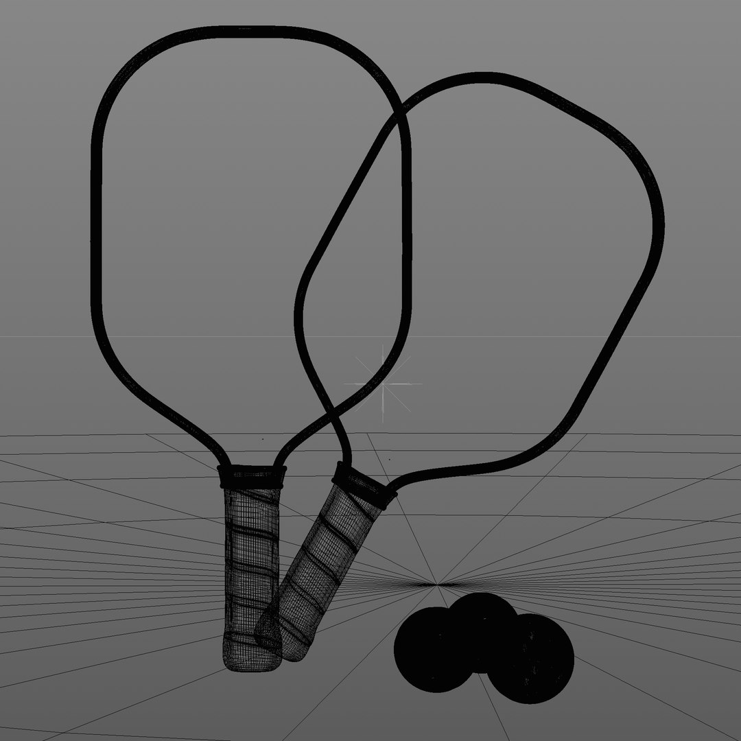 Pickleball Set Paddle Balls 3D Model TurboSquid 2152026