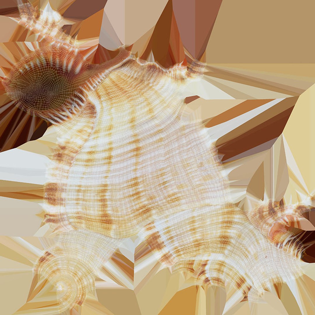 Monoplex Pilearis 3D https://p.turbosquid.com/ts-thumb/OM/zWKhl7/0C/monoplexpilearis_d0004/jpg/1720443305/1920x1080/fit_q87/2f2c01a69fb3d178aa08358777487dde723df0ba/monoplexpilearis_d0004.jpg