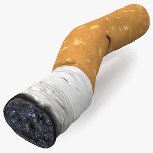 3D Realistic Used Cigarette Butt