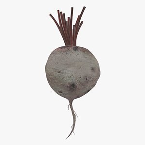 3D Beetroot model