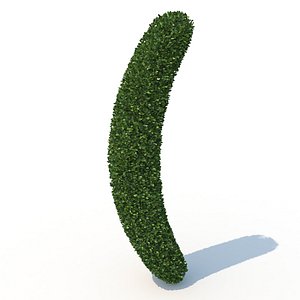 3D shaped hedge model