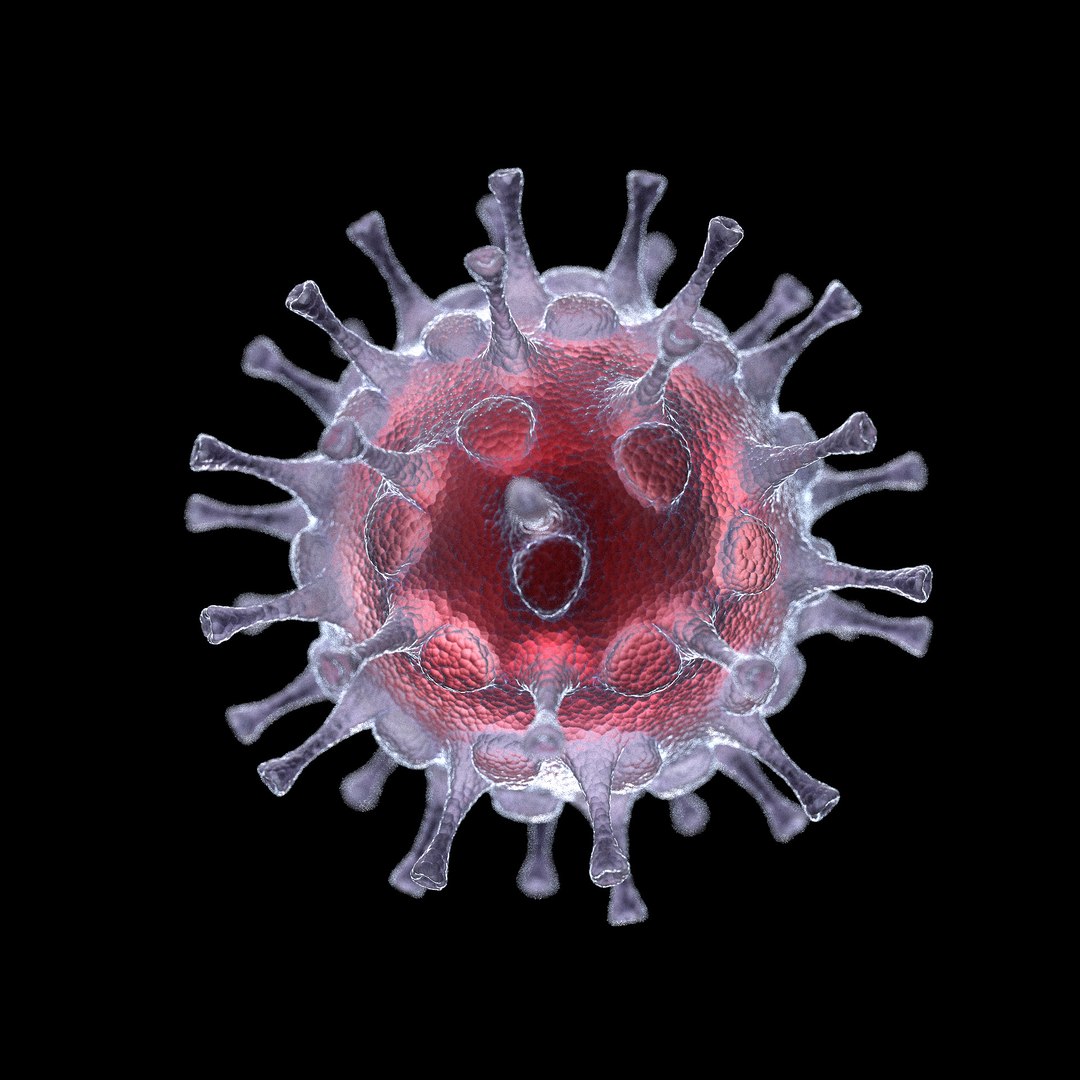 3D microbes bacteria cells https://p.turbosquid.com/ts-thumb/ON/KEUs4e/50N2vk01/swinefluinfluenzaavirush1n1_02/jpg/1601894028/1920x1080/fit_q87/7b876589cc75bf13df706067e67cbfce3d4d4ff0/swinefluinfluenzaavirush1n1_02.jpg
