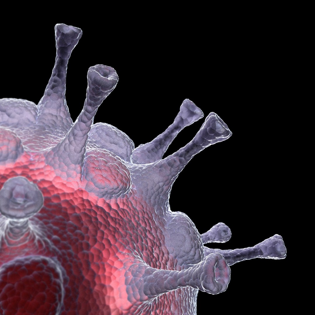 3D microbes bacteria cells https://p.turbosquid.com/ts-thumb/ON/KEUs4e/RyxVQ9Bk/swinefluinfluenzaavirush1n1_03/jpg/1601894028/1920x1080/fit_q87/ca2149b293b43b6d2e40e2c0f8042850f86a0b91/swinefluinfluenzaavirush1n1_03.jpg