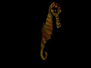 seahorse