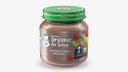 Pear Gerber Baby Food Jar 113g