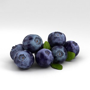 bilberry 3D model