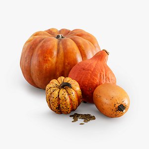 pumpkin set