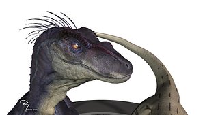 velociraptor raptor 3D model