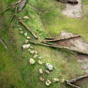 playfull trees 3d model