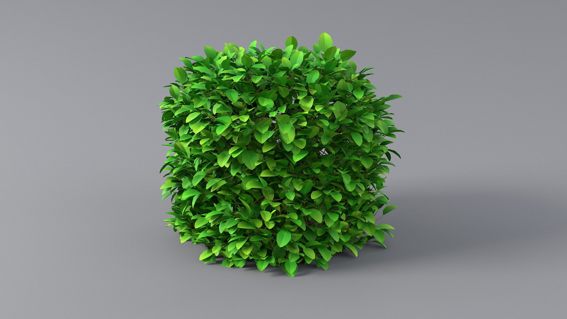 3D Cartoon Bush Pack model https://p.turbosquid.com/ts-thumb/ON/nv3eE2/6U/bush_09/jpg/1661535990/1920x1080/fit_q87/ac09d5c0e6c1360ff7cd0386f01367d4bbeb4cd9/bush_09.jpg