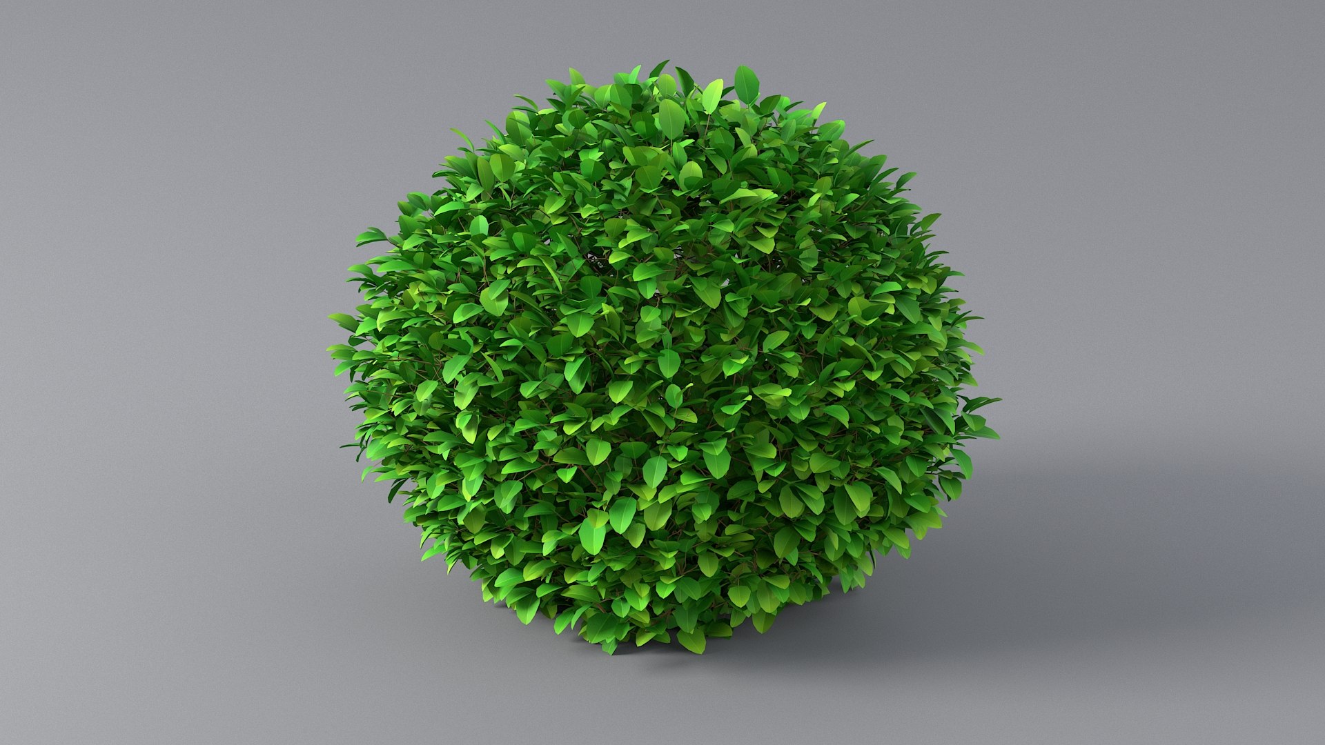 3D Cartoon Bush Pack model https://p.turbosquid.com/ts-thumb/ON/nv3eE2/Rk/bush_13/jpg/1661535997/1920x1080/fit_q87/ec06ef1e9f46e74142985ad177bc4502d8eb2a95/bush_13.jpg