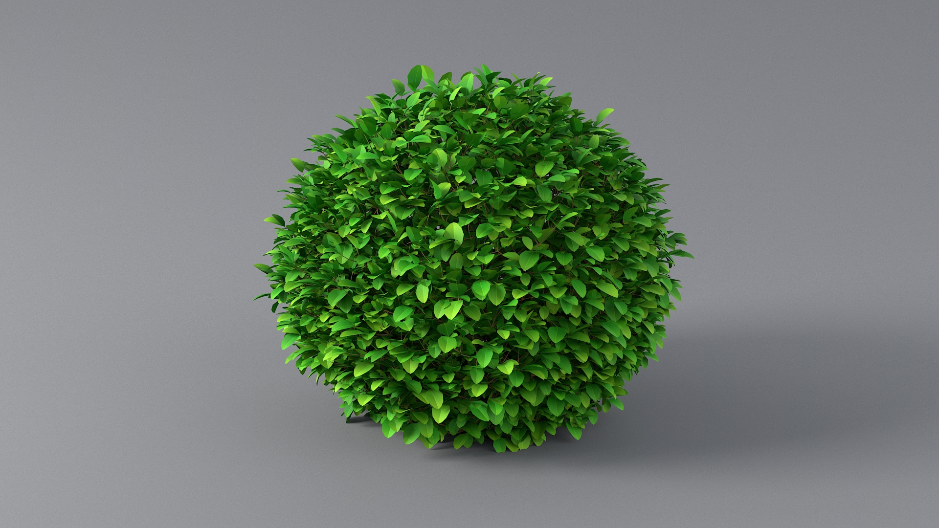 3D Cartoon Bush Pack model https://p.turbosquid.com/ts-thumb/ON/nv3eE2/x2/bushtbb/jpg/1661536149/1920x1080/turn_fit_q99/553cf729ff08a58678dfd82801dcfe5fc5a6c946/bushtbb-1.jpg