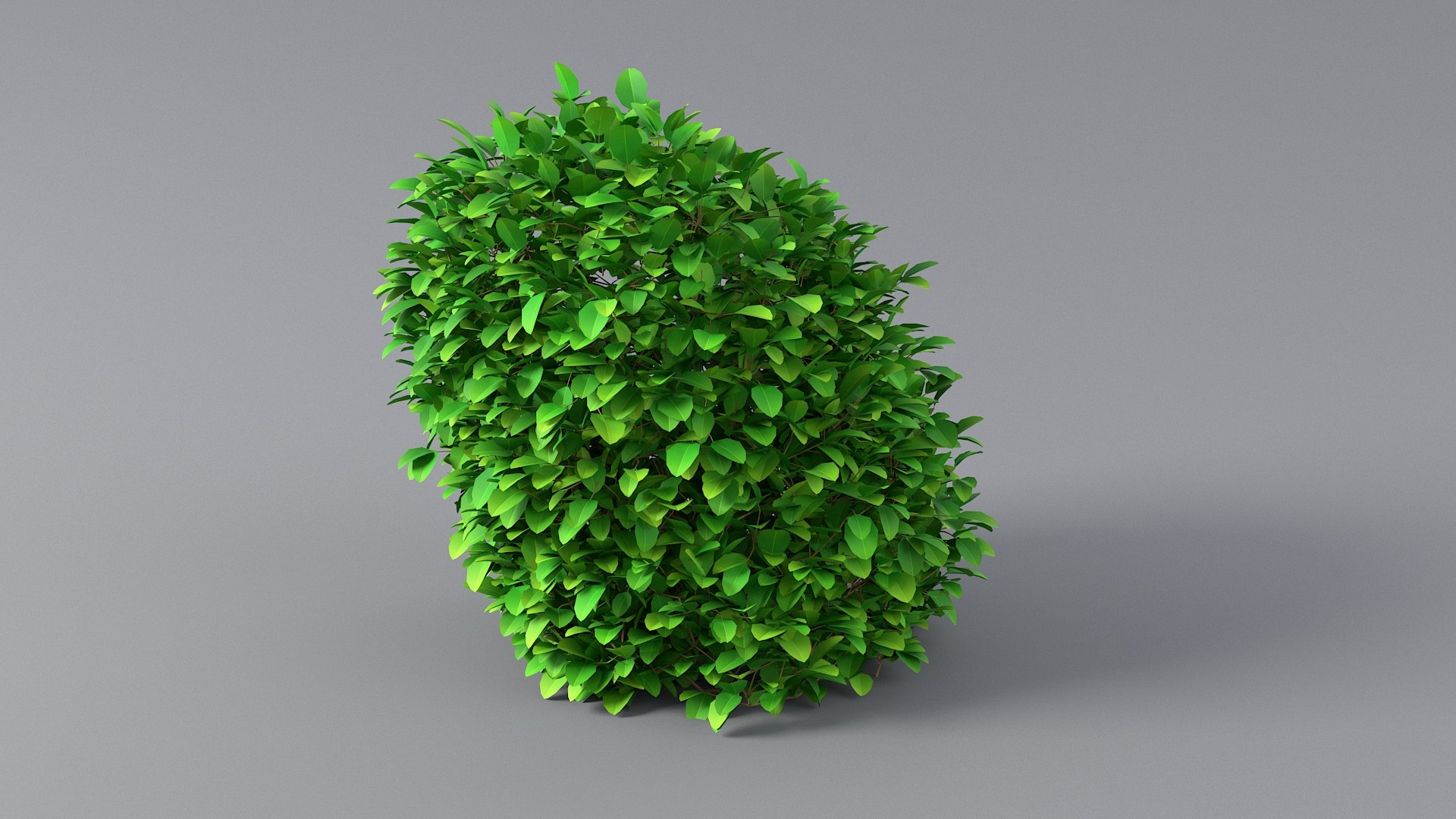 3D Cartoon Bush Pack model https://p.turbosquid.com/ts-thumb/ON/nv3eE2/y8/bush_19/jpg/1661536009/1920x1080/fit_q87/acab927a4b86777b2341452efd21d5700f5bef89/bush_19.jpg