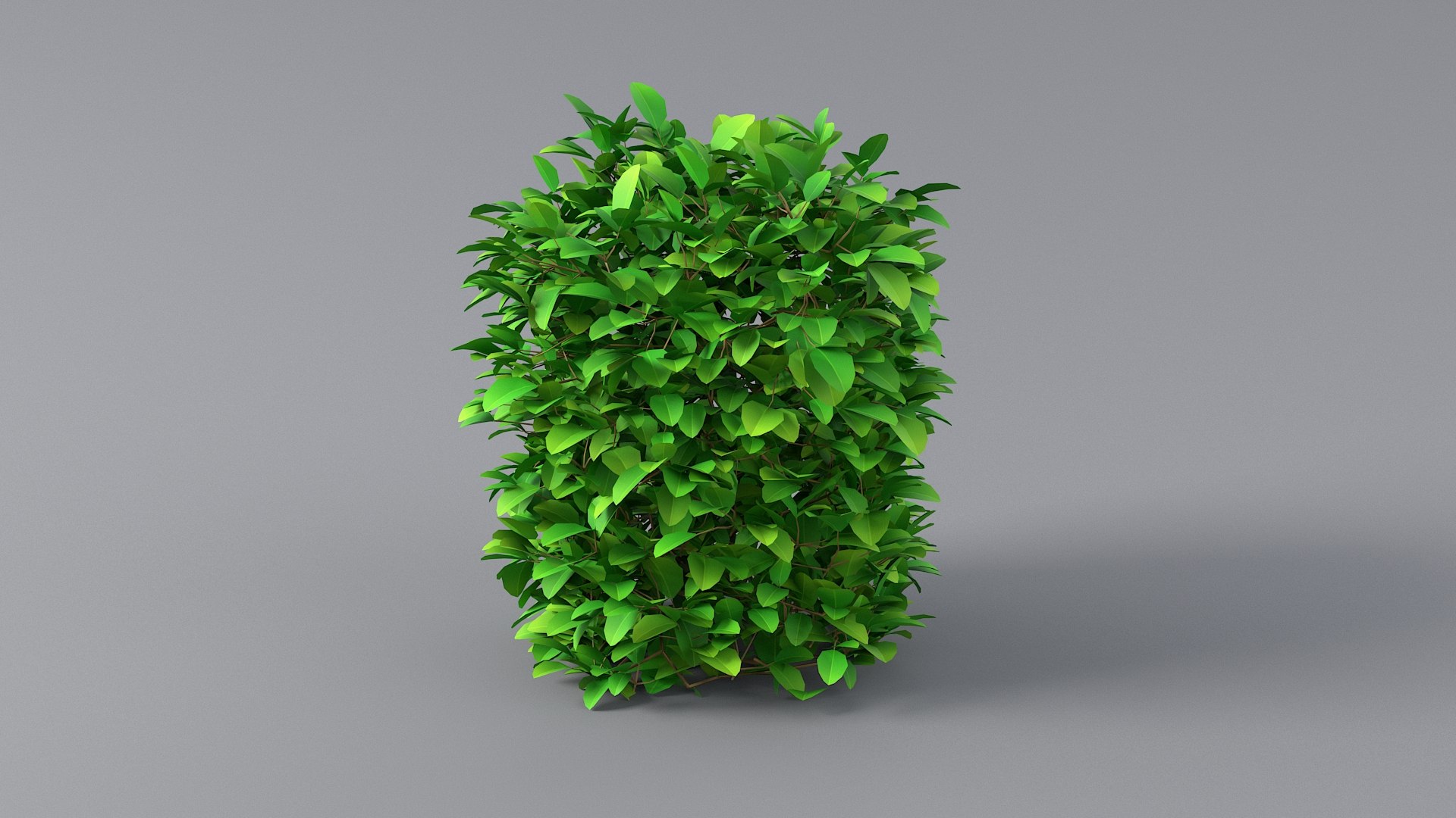 3D Cartoon Bush Pack model https://p.turbosquid.com/ts-thumb/ON/nv3eE2/yo/bush_06/jpg/1661535984/1920x1080/fit_q87/82f5aded21c6b87203b9ea20fa5ff02c5eed968b/bush_06.jpg