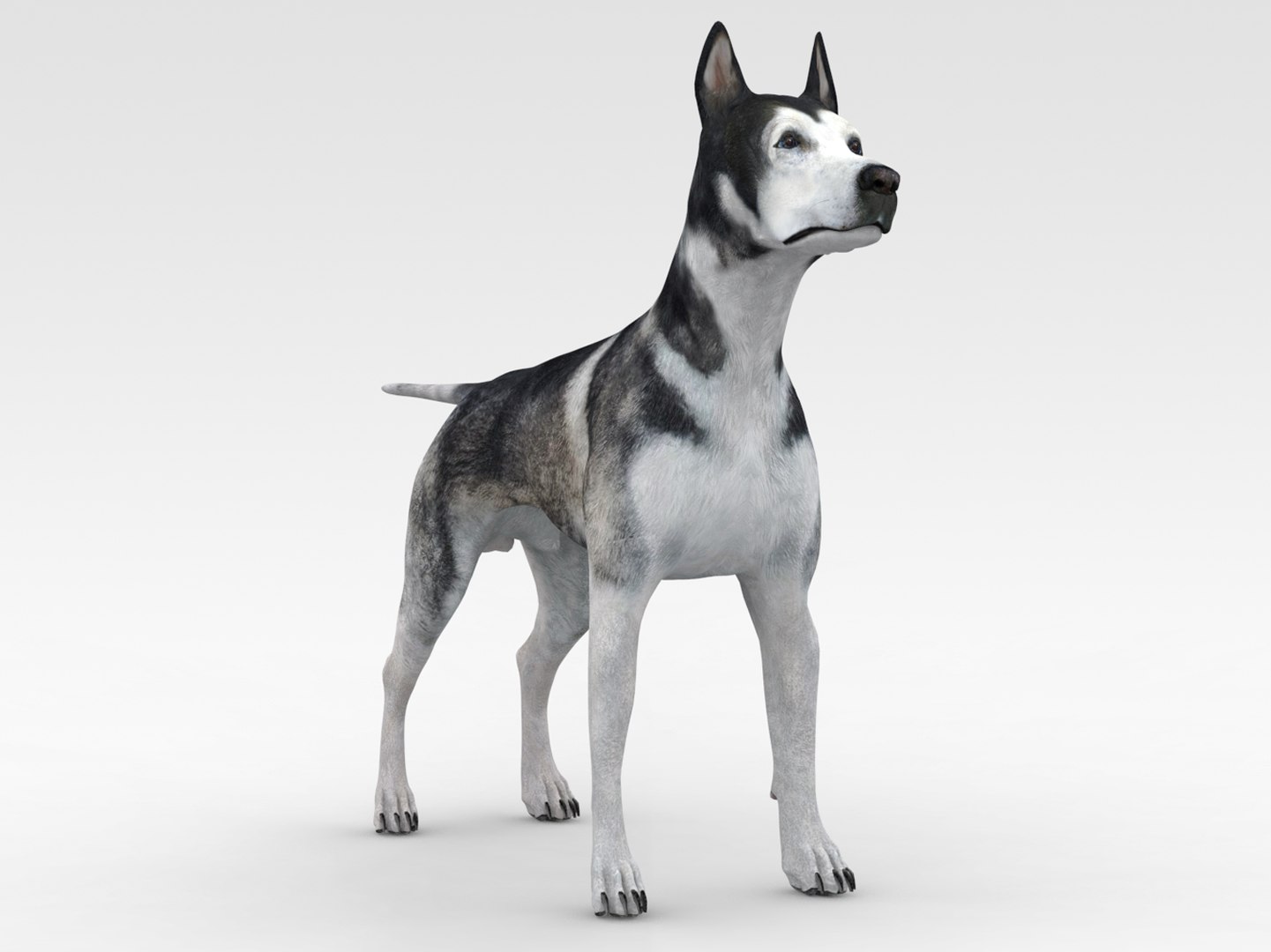 Realistischer Hund 3D-Modell - TurboSquid 1841351