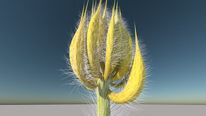 tree plants flower 3D model