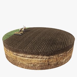 3d model diorama crop field