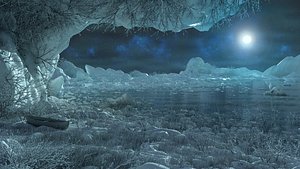 winter moon 3D model