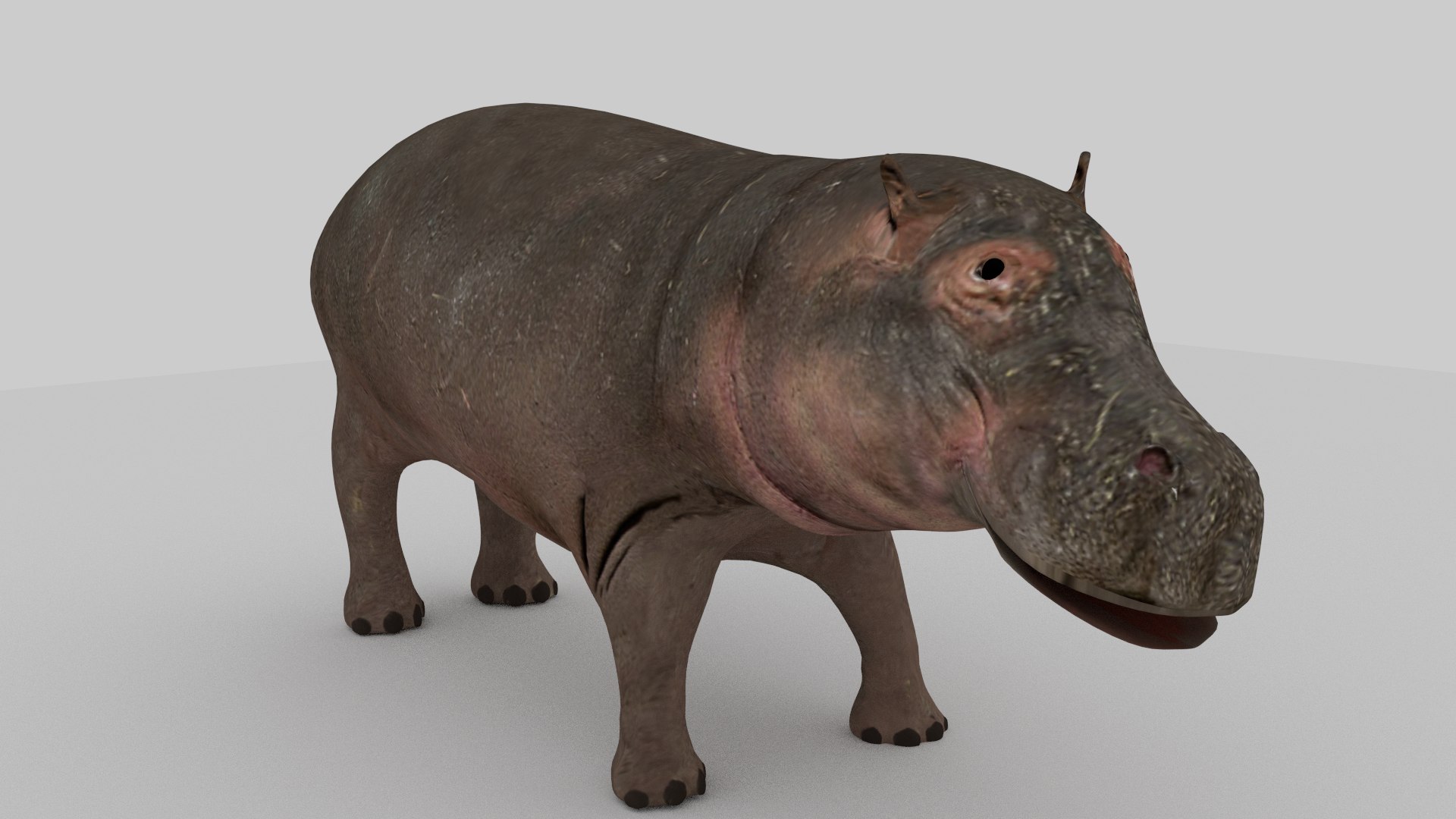 hippo 3d 3ds https://p.turbosquid.com/ts-thumb/OO/aDuUwX/A3PAYm3q/untitled1/png/1429720968/1920x1080/fit_q87/5e7c8108d963aff9f4f52a61133b79b5162cedf4/untitled1.jpg