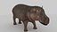 Hippo
