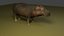 Hippo