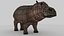 Hippo
