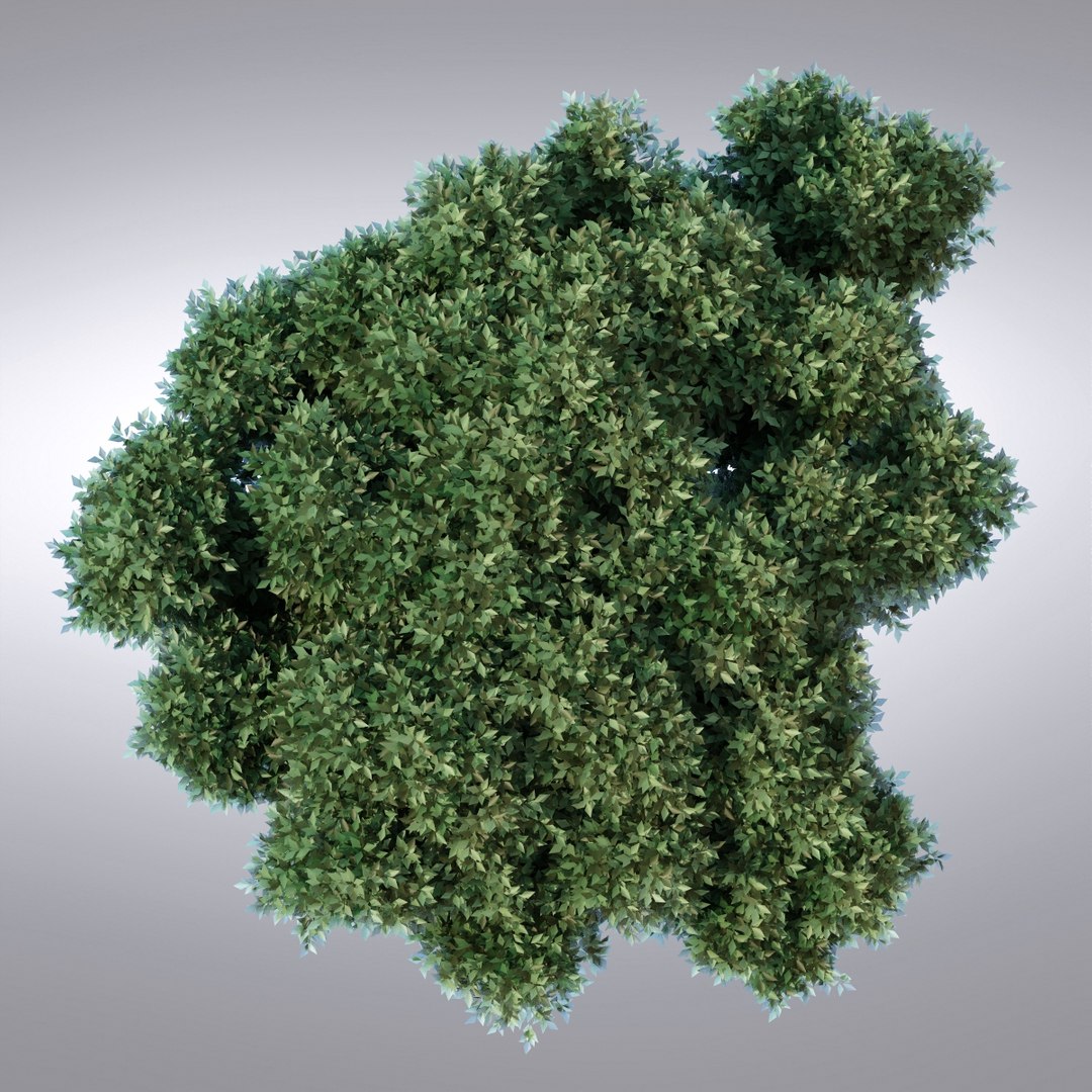 Max Hi Realistic Series Tree