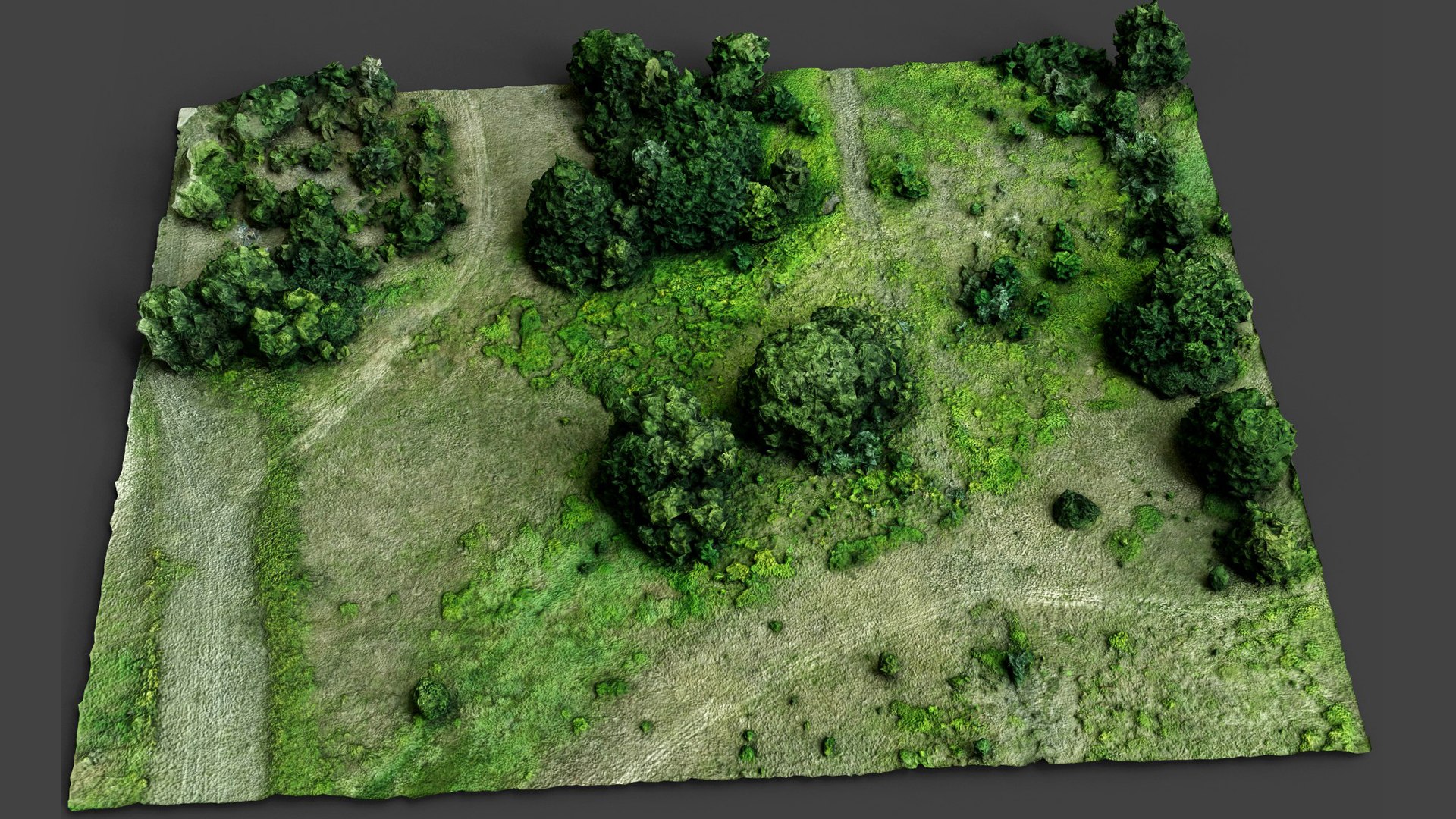 trees terrain area pt4 lowpoly drone photogrammetry 3D https://p.turbosquid.com/ts-thumb/OP/4eI1M0/1x/preview3/jpg/1736681978/1920x1080/fit_q87/c561c604c3f441c02603d33a6a863d4a75ccf2be/preview3.jpg