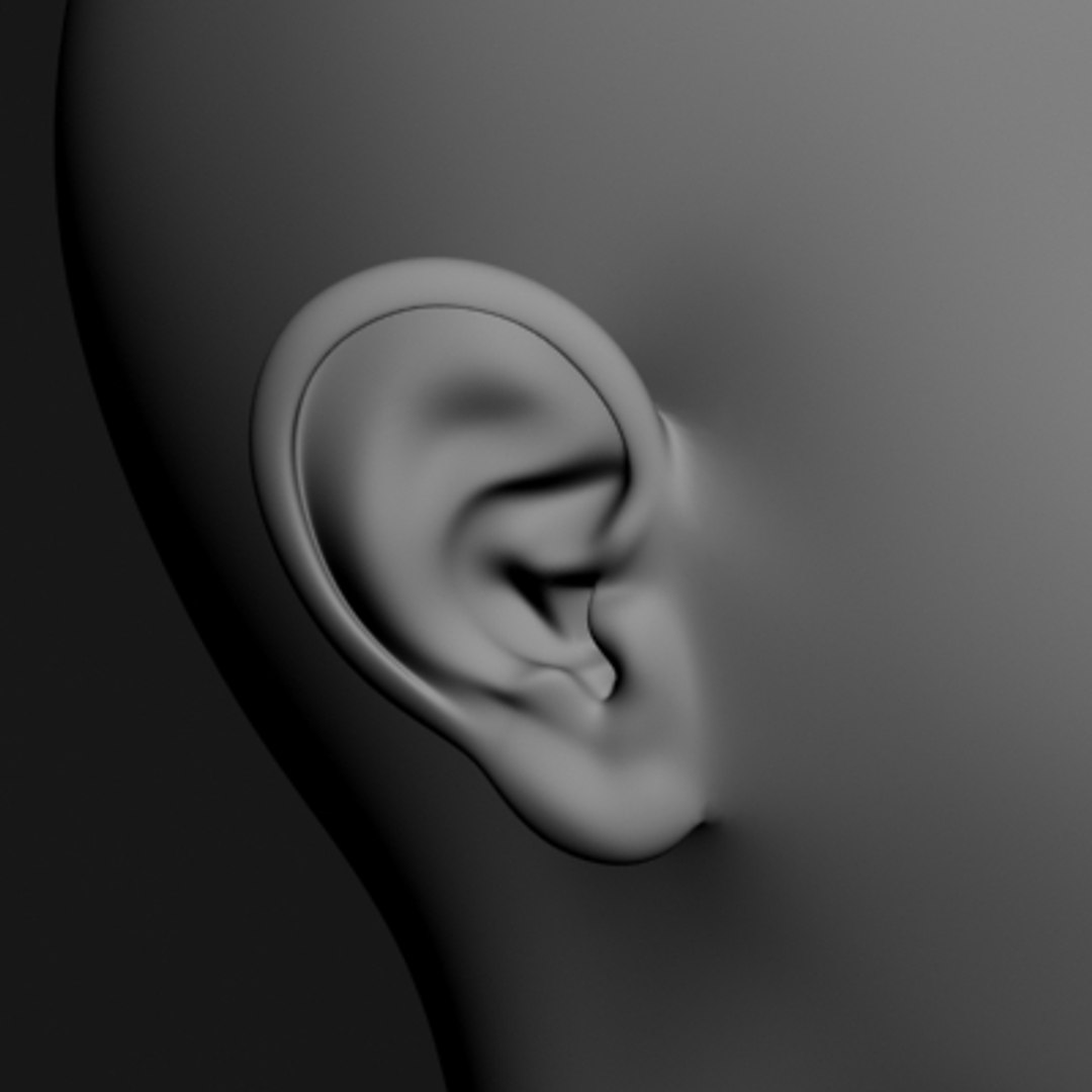 maya female head https://p.turbosquid.com/ts-thumb/OP/6rpyOq/D9txq7eK/woman_head_07/jpg/1216248430/1920x1080/fit_q87/924e8f2a4c875310b69f4e0c006e4a9391608747/woman_head_07.jpg