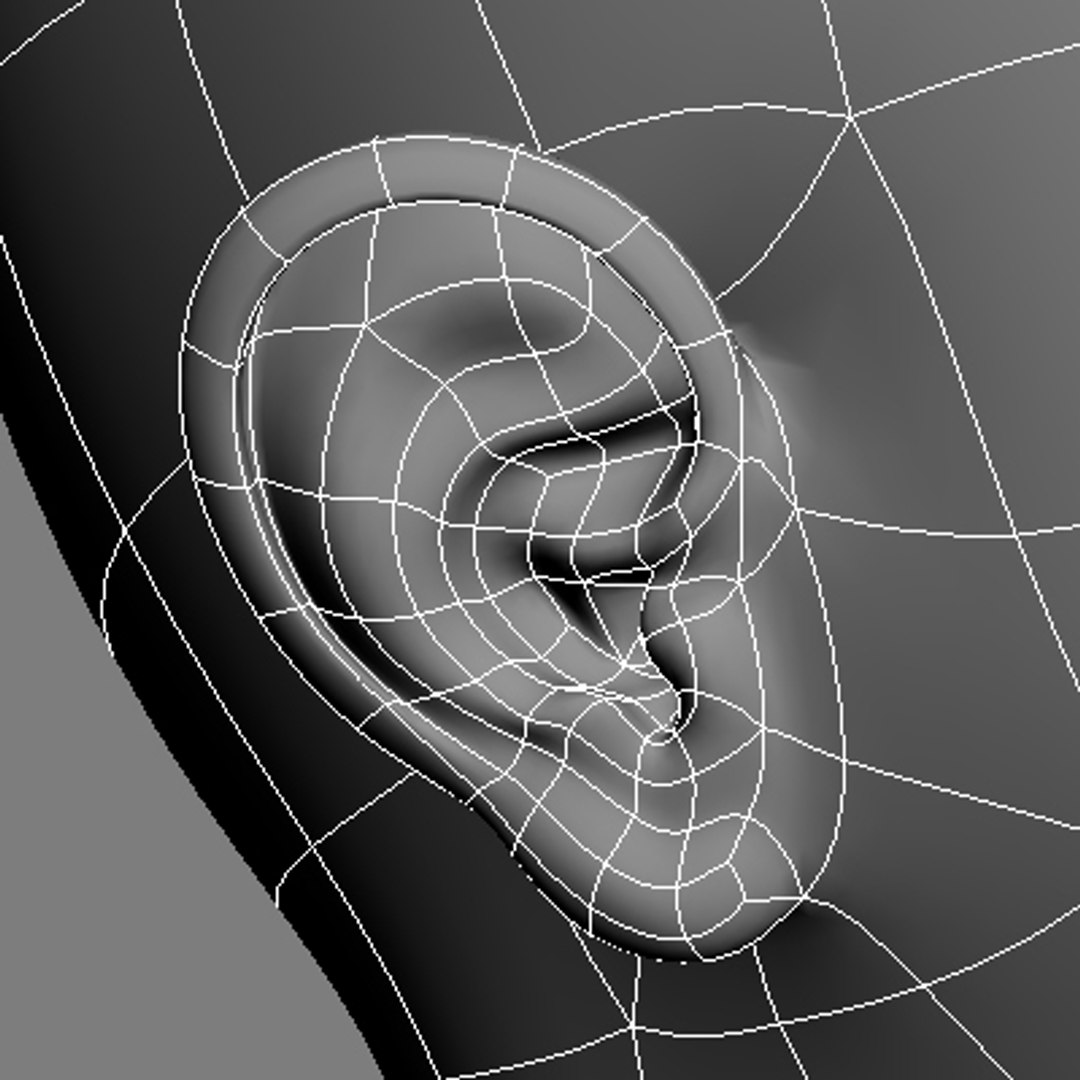 maya female head https://p.turbosquid.com/ts-thumb/OP/6rpyOq/M1a1TsKq/woman_head_wire_07/jpg/1216248774/1920x1080/fit_q87/22241689ec0d1d725506ff6bc40f857d8e6adf51/woman_head_wire_07.jpg