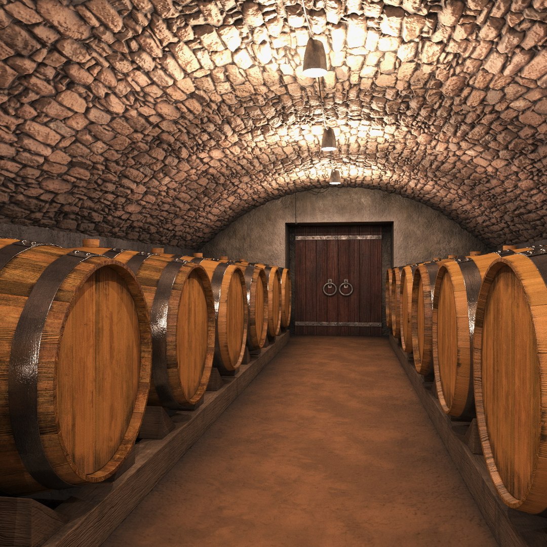Old Wine Cellar Interior 3D model preview