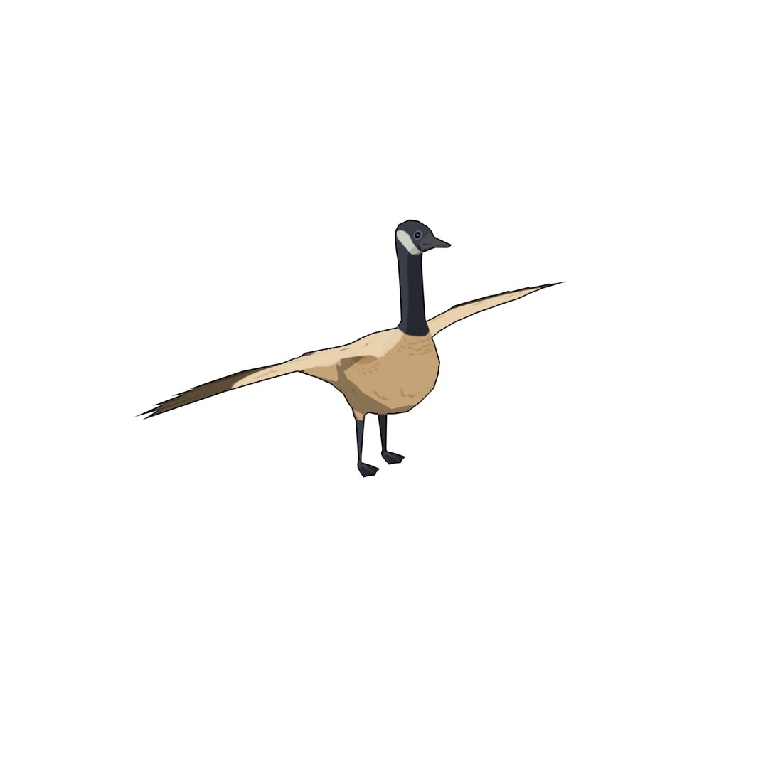 3D Ploygon Wildgoose Model - TurboSquid 1152619