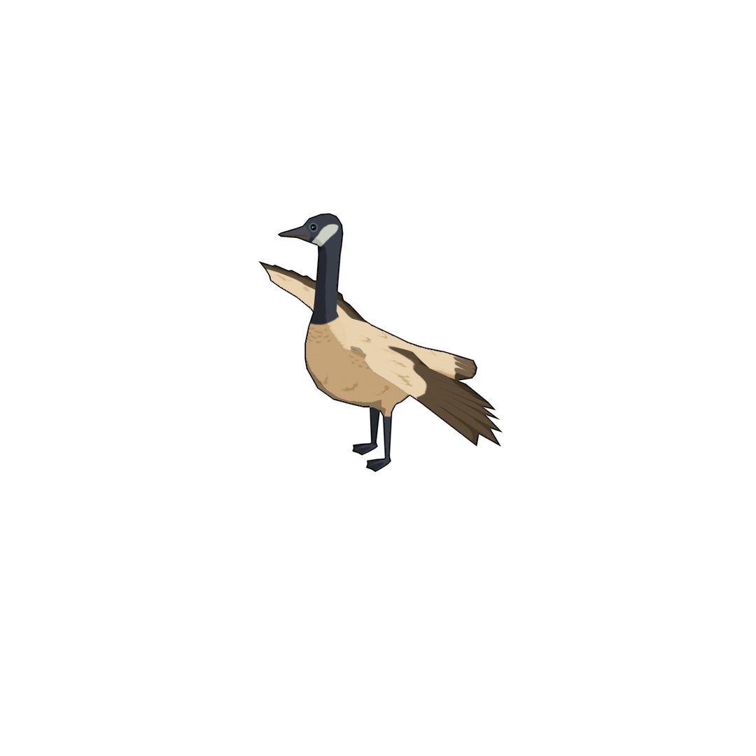 3D Ploygon Wildgoose Model - TurboSquid 1152619