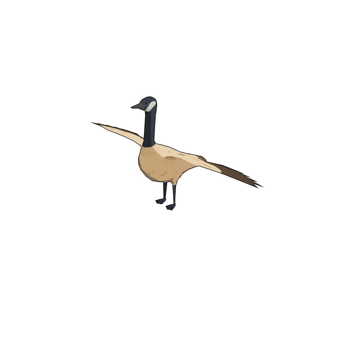 3D Ploygon Wildgoose Model - TurboSquid 1152619