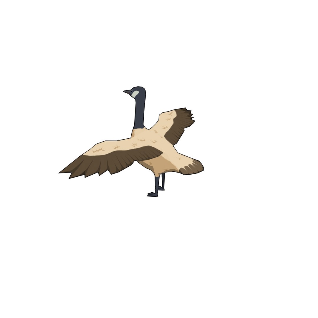 3D Ploygon Wildgoose Model - TurboSquid 1152619