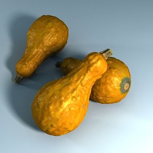 3d gourd res model