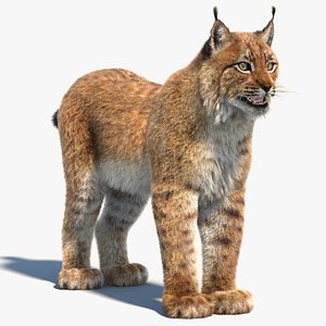 eurasian lynx fur 3d model