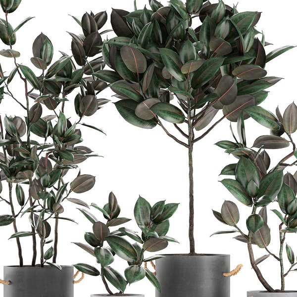 3D model decorative trees interior concrete - TurboSquid 1582094
