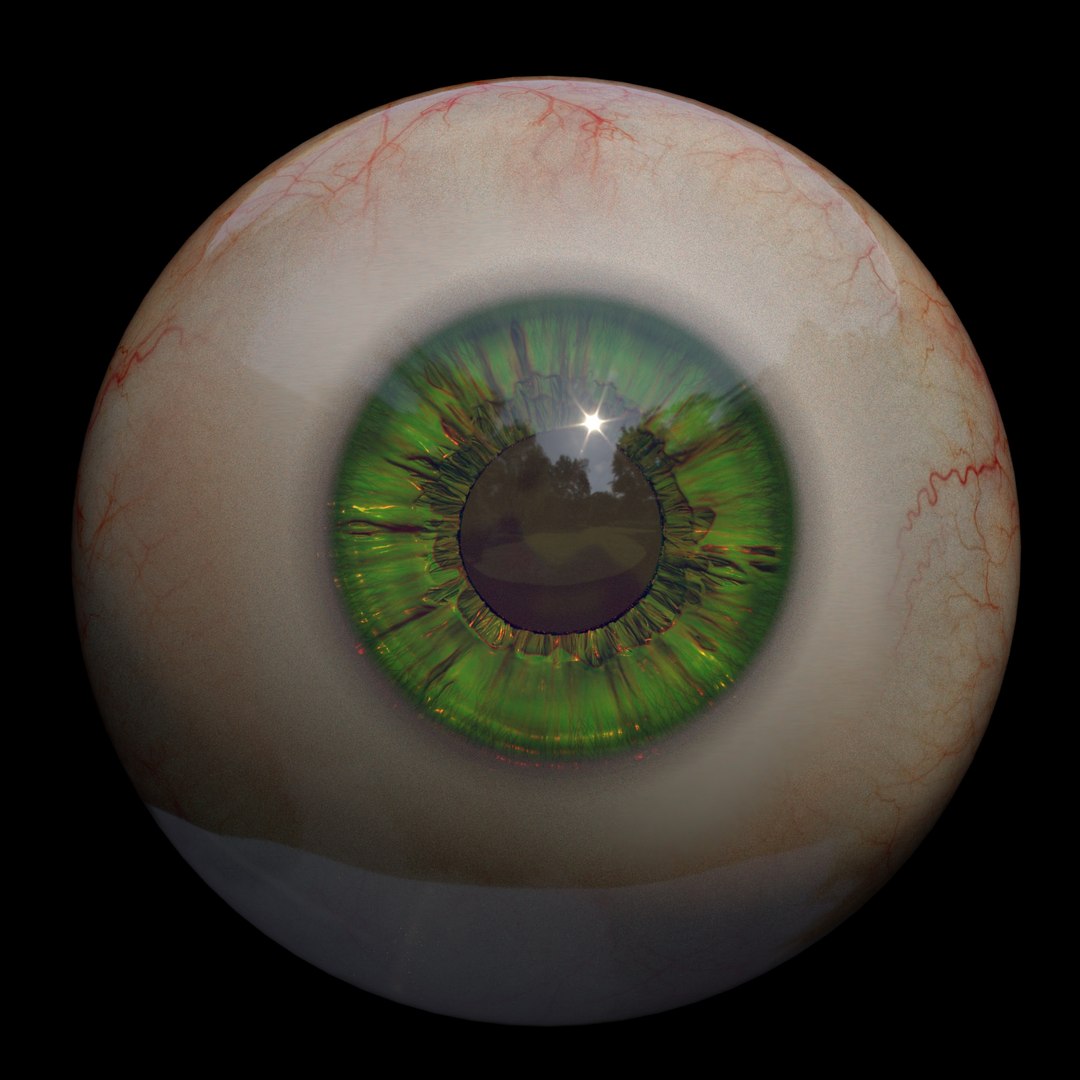 Eye Model - TurboSquid 1831629