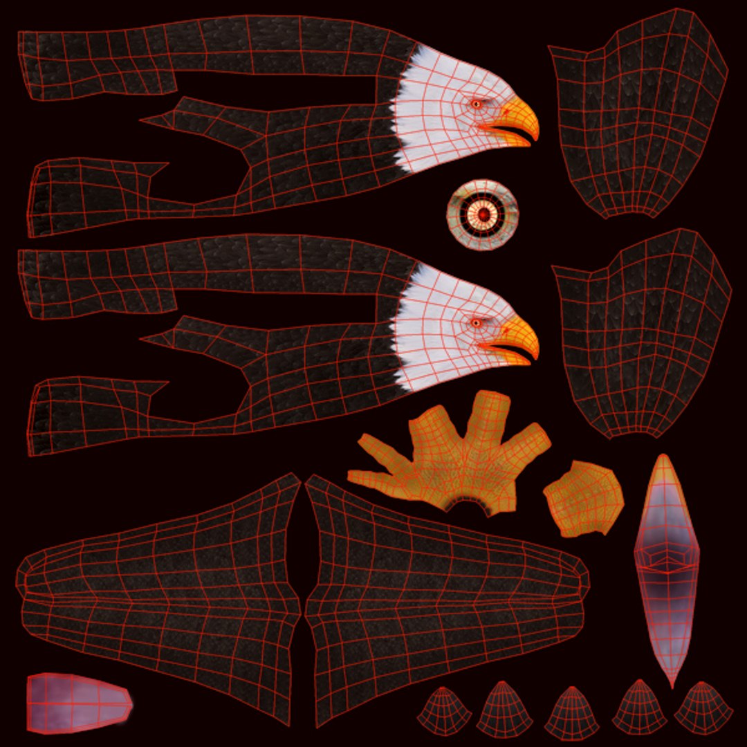 eagle bald 3d model https://p.turbosquid.com/ts-thumb/OP/ctcD6Z/MZoZWkUY/baldeagle08/jpg/1402829751/1920x1080/fit_q87/c391942762ccced3e27a0d29e4a9851154d4eba4/baldeagle08.jpg