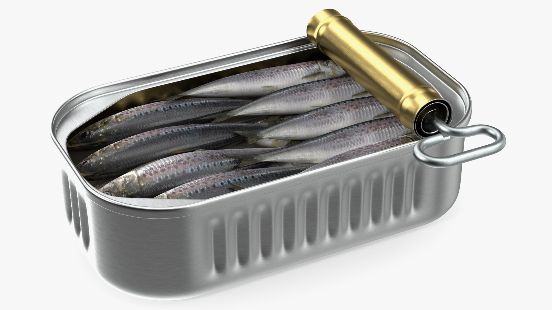 cannedsardineopenedwithtwistkeyvray3dmodel001.jpg