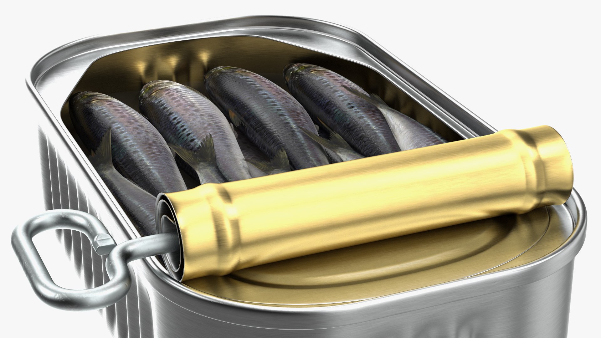 Canned Sardine Opened with Twist Key 3D model TurboSquid 1816844