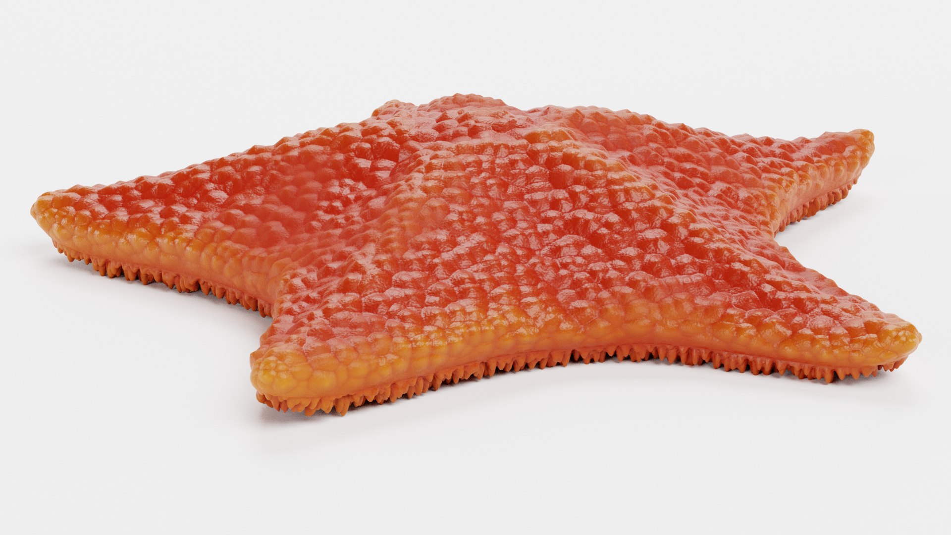 bat starfish 3D https://p.turbosquid.com/ts-thumb/OP/qefkoG/TW/batstarfishrede/png/1615549751/1920x1080/fit_q87/cd56fcbbed3c9e5d97585e1f5df0c1fb7d8e277d/batstarfishrede.jpg